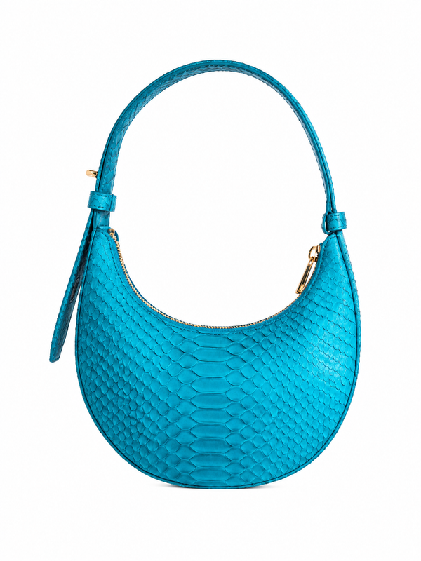 bleu Python Icon