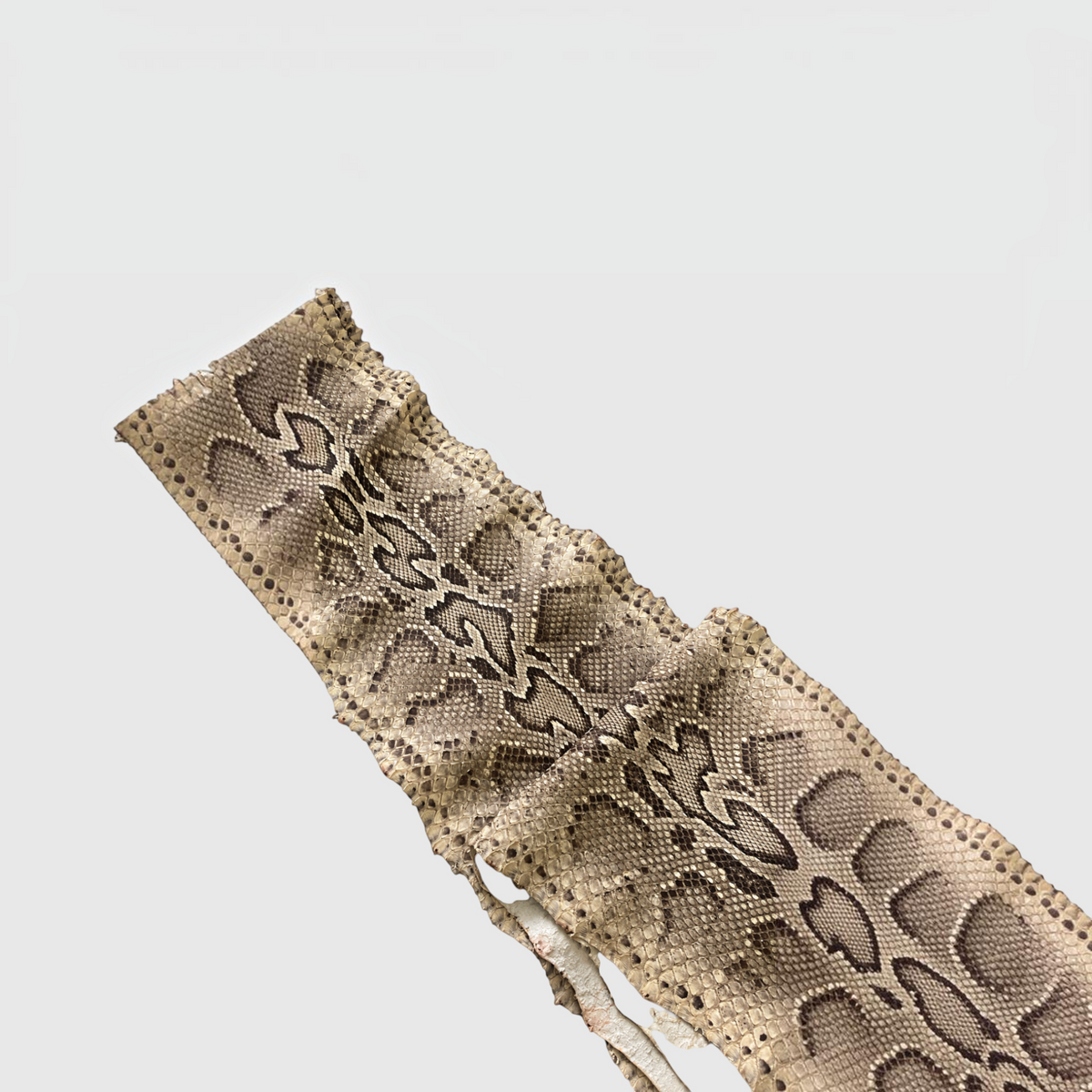 Genuine Skins pochette en cuir de python véritable marron avec texture d'écailles naturelle et motif distinctif