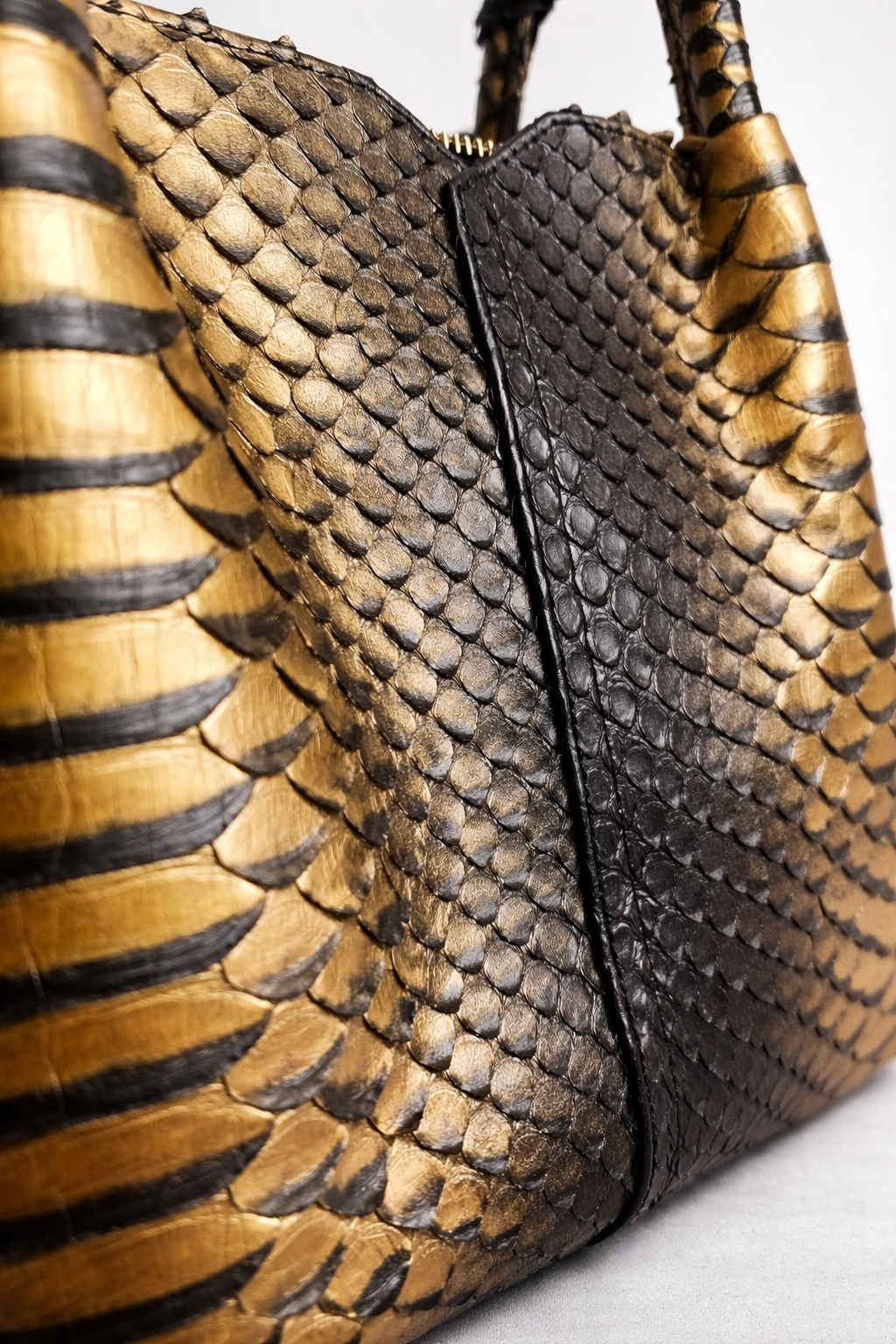 Sahara Gold Python