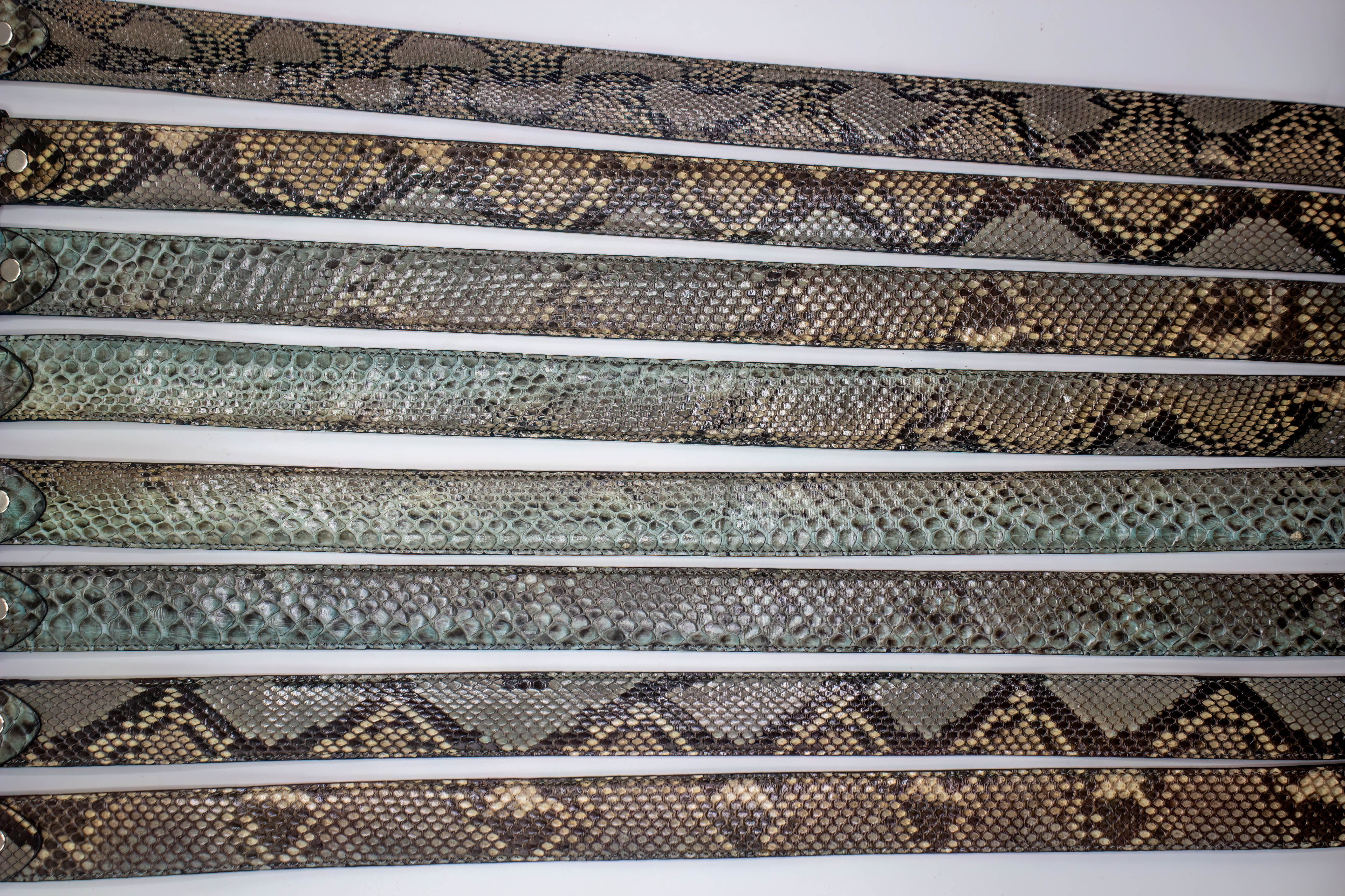SNAKE SKIN BELT