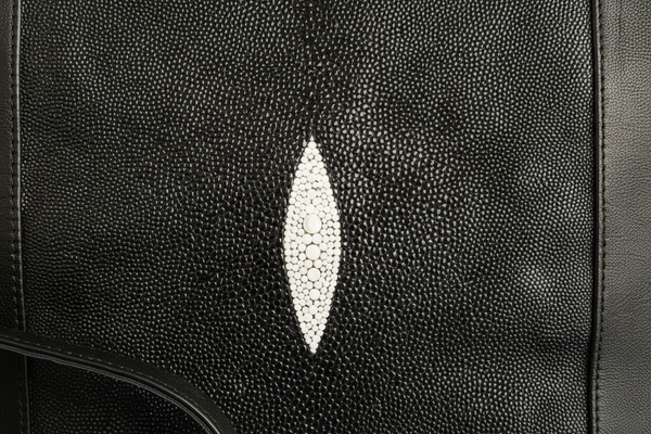 STINGRAY SIGNATURE