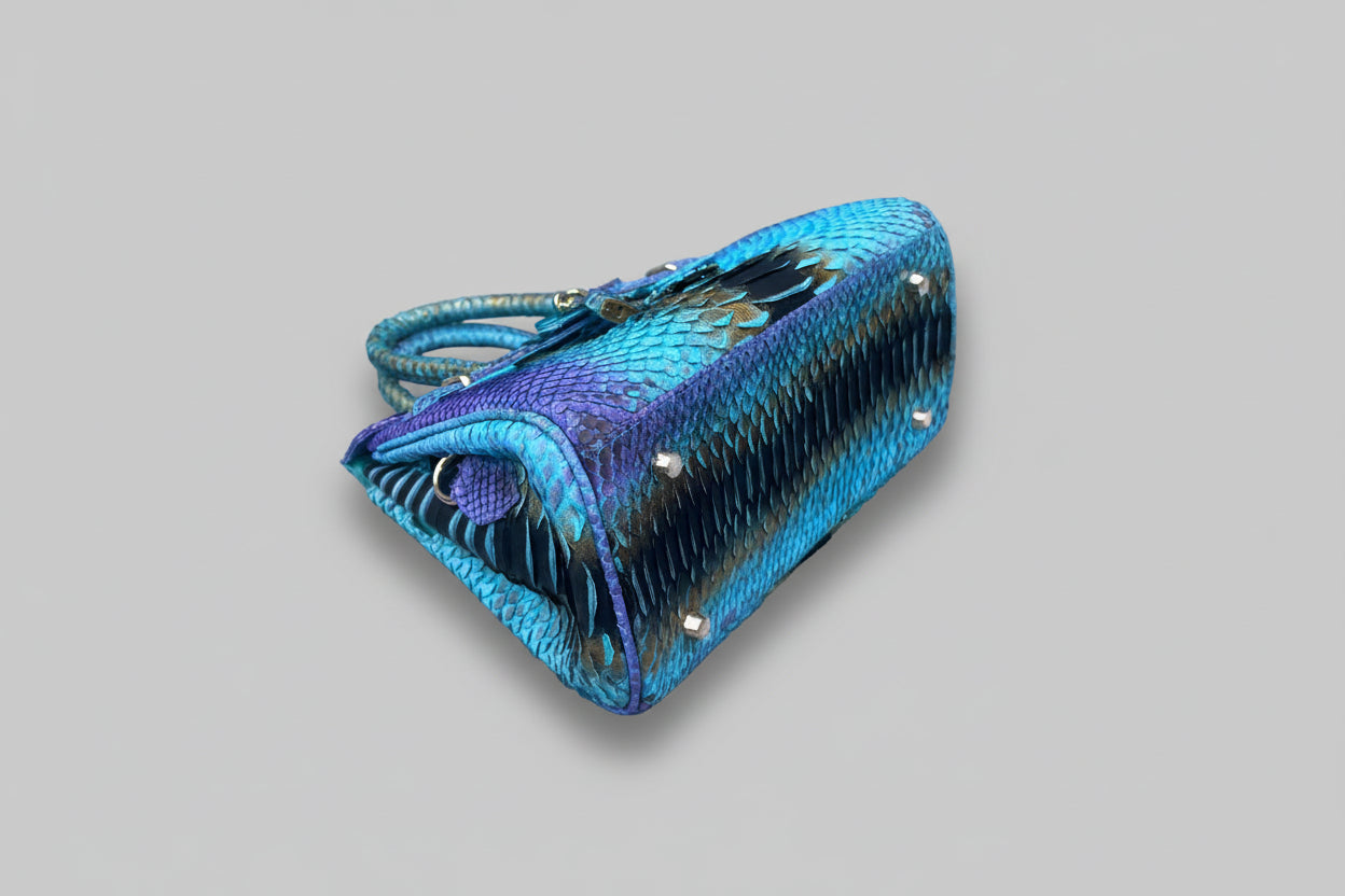 AURORA PYTHON