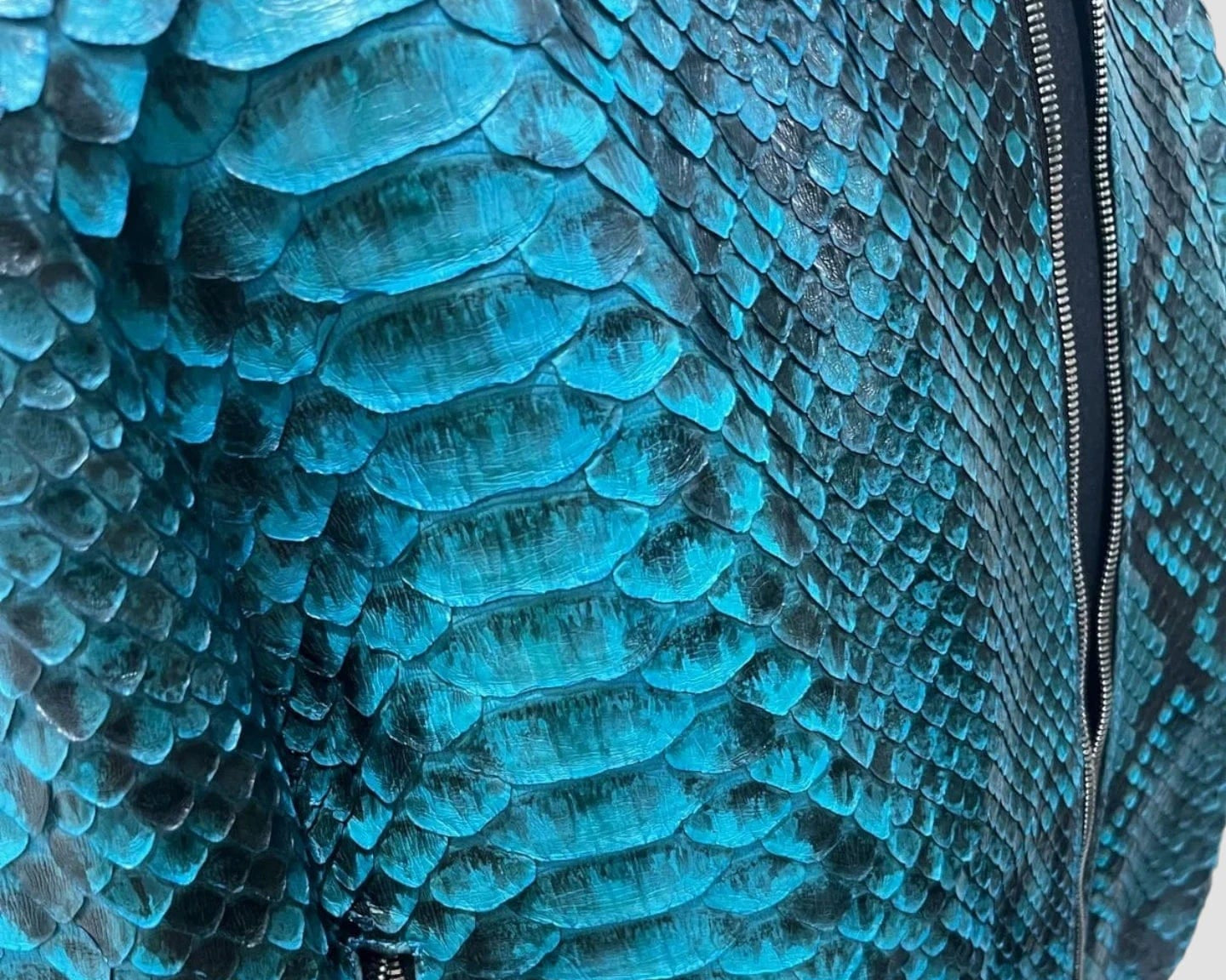 blaue Pythonlederjacke