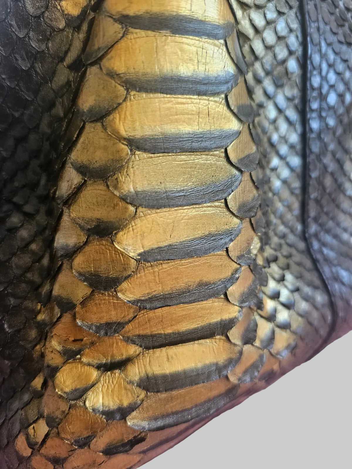 Sahara Gold Python